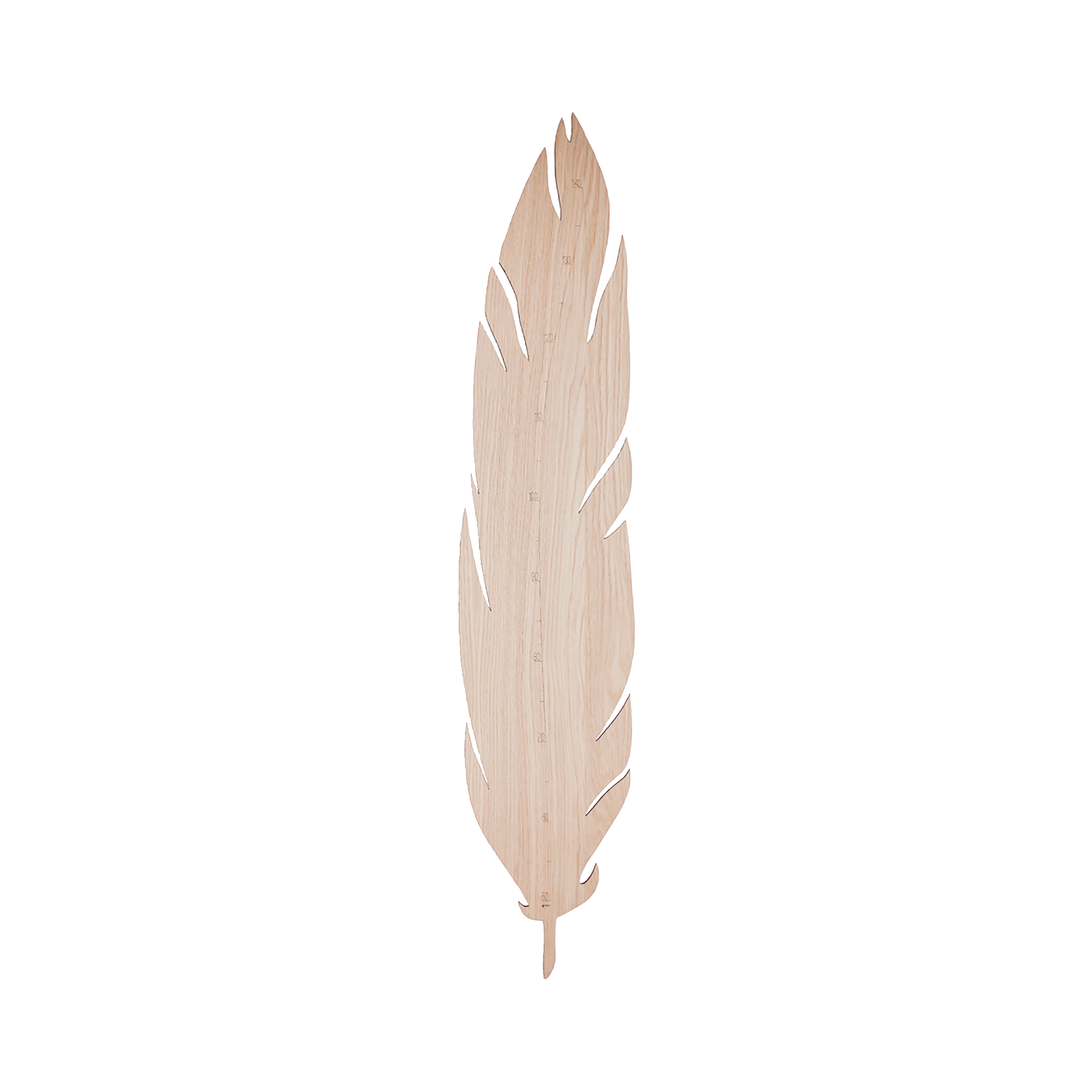 FEATHER GROWTH CHART